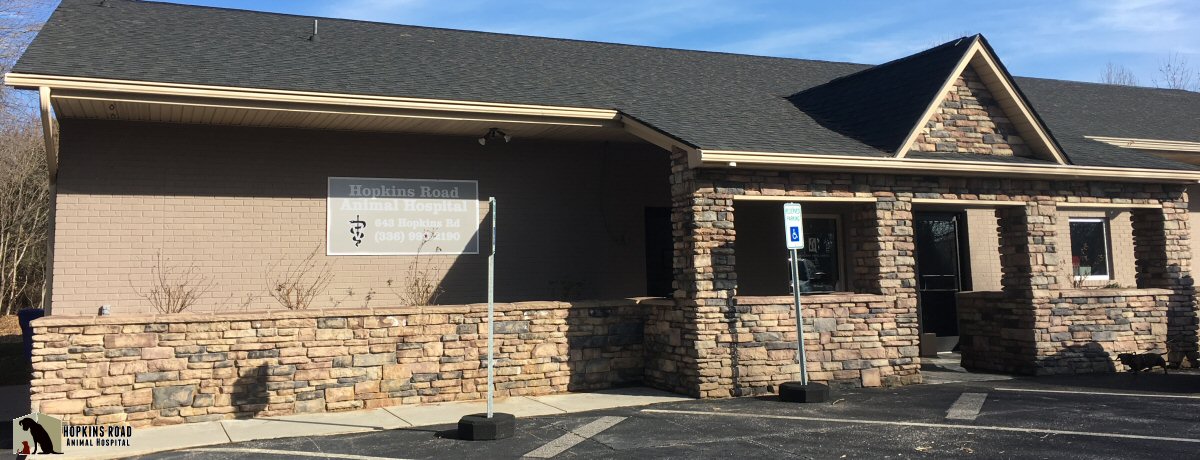 Kernersville Veterinary Hospital - Hopkins Road Animal Hospital - Kernersville Vet Hospital - AAHA Certified Kernersville Veterinary Hospital - Hopkins Road Animal Hospital - Kernersville Vet Hospital - AAHA Certified