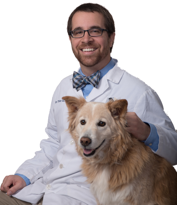 Kernersville Veterinary Hospital - Hopkins Road Animal Hospital - Kernersville Vet Hospital - AAHA Certified Kernersville Veterinary Hospital - Hopkins Road Animal Hospital - Kernersville Vet Hospital - AAHA Certified
