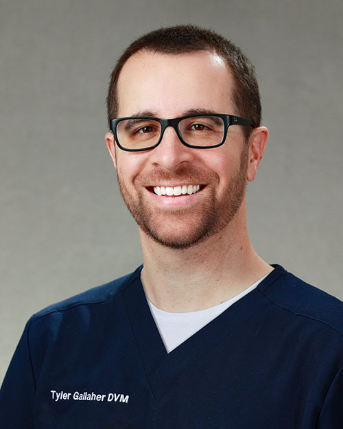 A photo of Dr. Tyler Gallaher